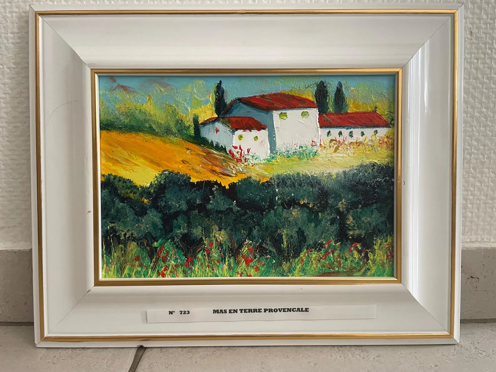Mas en terre provençale