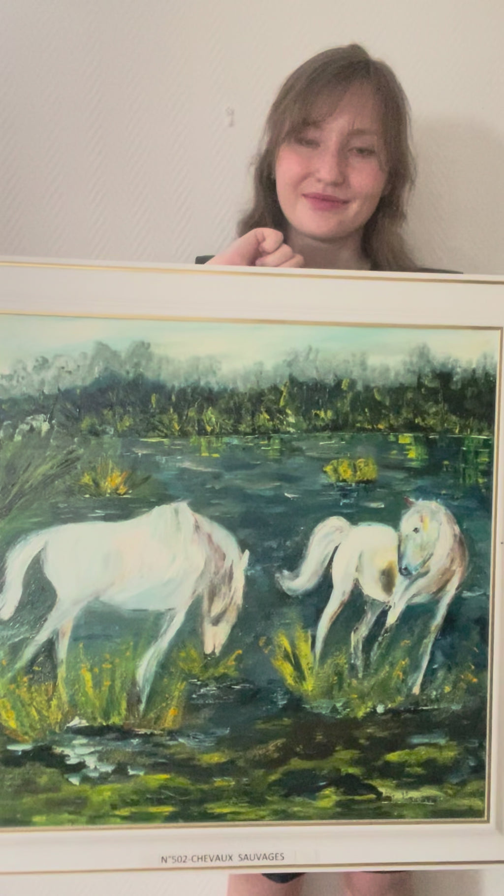 Chevaux Sauvages
