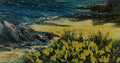 Belle île - Morbihan