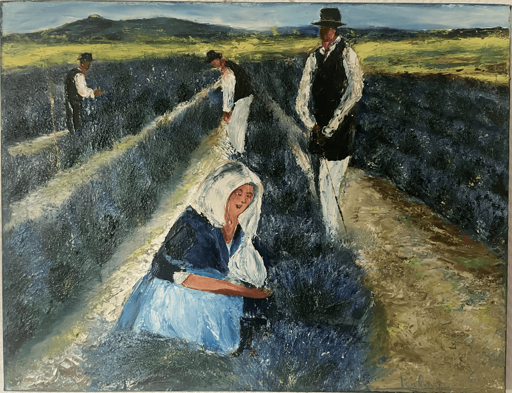 Culture de lavande