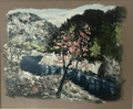 Gorges de l’Hérault