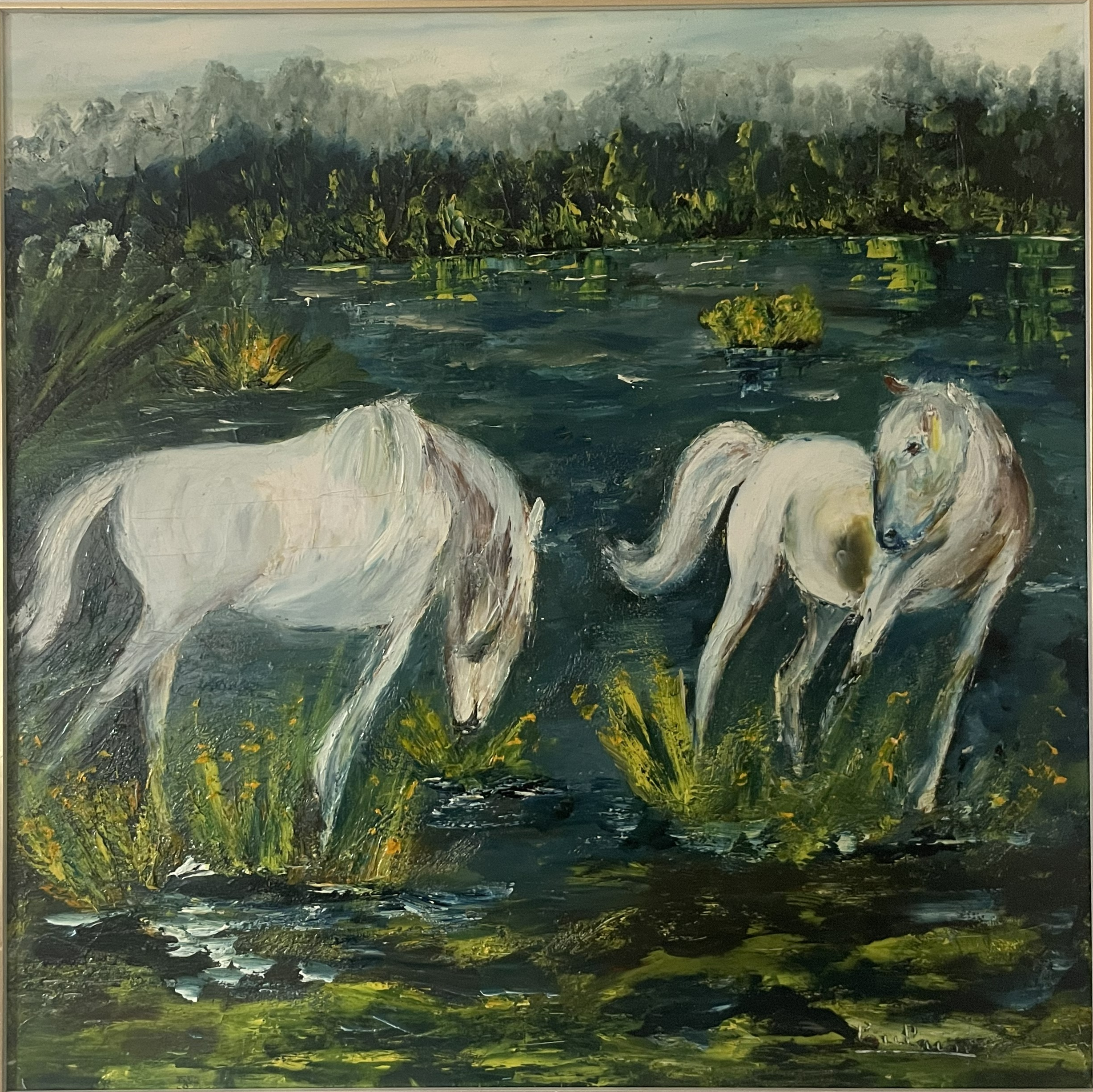 Chevaux Sauvages